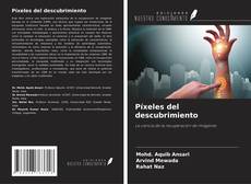 Copertina di Píxeles del descubrimiento