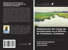 Buchcover von Modelización del riesgo de inundaciones en el distrito de Tsholotsho, Zimbabue