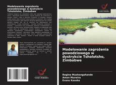 Couverture de Modelowanie zagrożenia powodziowego w dystrykcie Tsholotsho, Zimbabwe