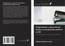 Buchcover von Programación y ejecución de fondos y presupuestos públicos en RN
