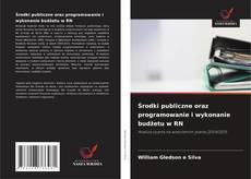 Środki publiczne oraz programowanie i wykonanie budżetu w RN kitap kapağı