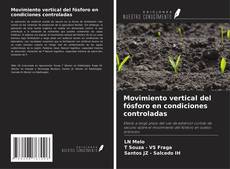 Buchcover von Movimiento vertical del fósforo en condiciones controladas