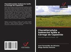Couverture de Charakterystyka hodowców bydła w Córrego do Capoeirão