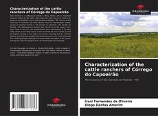 Copertina di Characterization of the cattle ranchers of Córrego do Capoeirão