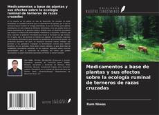 Buchcover von Medicamentos a base de plantas y sus efectos sobre la ecología ruminal de terneros de razas cruzadas