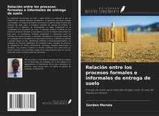 Buchcover von Relación entre los procesos formales e informales de entrega de suelo
