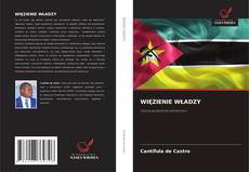 Couverture de WIĘZIENIE WŁADZY