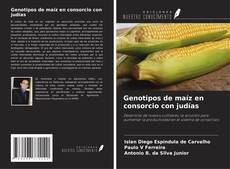 Copertina di Genotipos de maíz en consorcio con judías