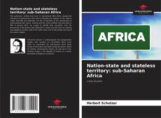 Nation-state and stateless territory: sub-Saharan Africa的封面