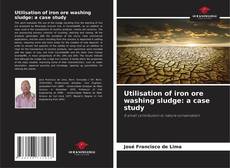 Utilisation of iron ore washing sludge: a case study的封面