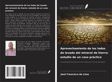 Buchcover von Aprovechamiento de los lodos de lavado del mineral de hierro: estudio de un caso práctico