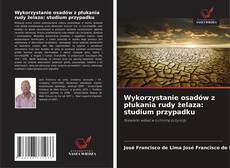 Buchcover von Wykorzystanie osadów z płukania rudy żelaza: studium przypadku