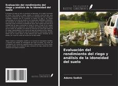 Copertina di Evaluación del rendimiento del riego y análisis de la idoneidad del suelo