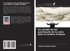 Buchcover von Un estudio de los panchayats de la casta dalit en Andhra Pradesh