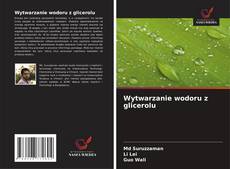 Buchcover von Wytwarzanie wodoru z glicerolu