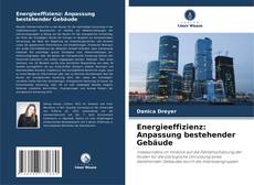 Обложка Energieeffizienz: Anpassung bestehender Gebäude