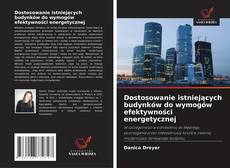 Copertina di Dostosowanie istniejących budynków do wymogów efektywności energetycznej