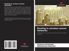 Copertina di Routing in wireless sensor networks