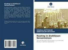 Capa do livro de Routing in drahtlosen Sensornetzen 