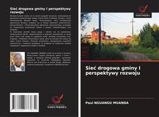Buchcover von Sieć drogowa gminy I perspektywy rozwoju