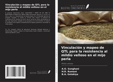 Copertina di Vinculación y mapeo de QTL para la resistencia al mildiú velloso en el mijo perla