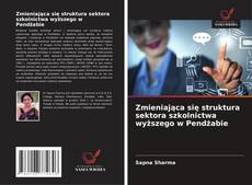 Buchcover von Zmieniająca się struktura sektora szkolnictwa wyższego w Pendżabie