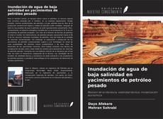 Buchcover von Inundación de agua de baja salinidad en yacimientos de petróleo pesado
