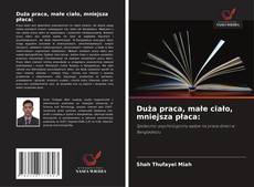 Buchcover von Duża praca, małe ciało, mniejsza płaca: