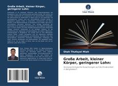 Capa do livro de Große Arbeit, kleiner Körper, geringerer Lohn: 