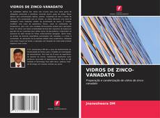 Buchcover von VIDROS DE ZINCO-VANADATO