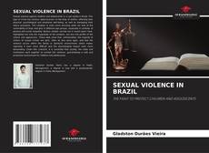 Copertina di SEXUAL VIOLENCE IN BRAZIL
