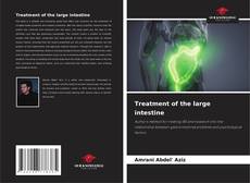 Copertina di Treatment of the large intestine