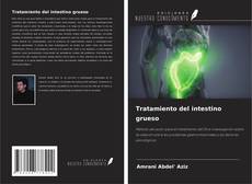 Buchcover von Tratamiento del intestino grueso