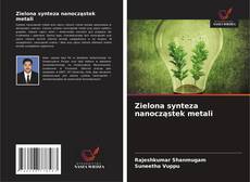Buchcover von Zielona synteza nanocząstek metali