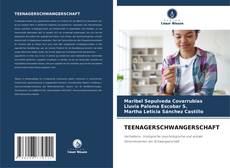 Capa do livro de TEENAGERSCHWANGERSCHAFT 