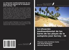 Buchcover von La situación medioambiental de los bares de las playas de la autopista José Sarney - SE