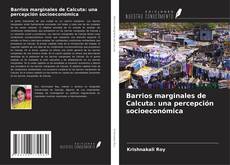 Copertina di Barrios marginales de Calcuta: una percepción socioeconómica