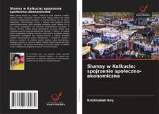 Buchcover von Slumsy w Kalkucie: spojrzenie społeczno-ekonomiczne
