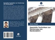 Обложка Spezielle Techniken zur Sanierung von Denkmälern