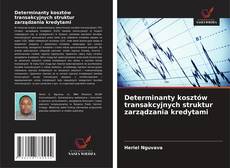 Copertina di Determinanty kosztów transakcyjnych struktur zarządzania kredytami