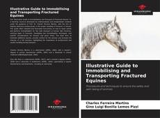 Copertina di Illustrative Guide to Immobilising and Transporting Fractured Equines