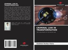 Copertina di CRIMINAL LAW IN TRANSFORMATION