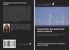 Copertina di Evaluación del potencial eólico marino