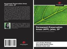 Copertina di Permanent Preservation Areas (APP), Jales, SP