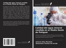 Copertina di Calidad del agua mineral vendida en el Medio Oeste de Potiguar