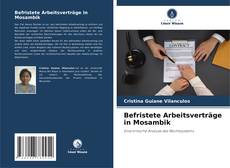 Buchcover von Befristete Arbeitsverträge in Mosambik