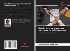 Copertina di Fixed-term employment contracts in Mozambique