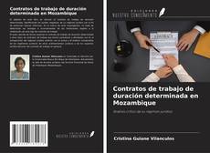 Buchcover von Contratos de trabajo de duración determinada en Mozambique