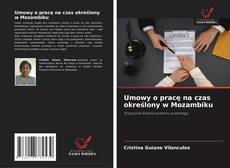 Buchcover von Umowy o pracę na czas określony w Mozambiku