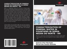 Copertina di CHARACTERIZATION OF MINERAL WATER IN FOUNTAINS IN SERRA NEGRA DO NORTE - RN